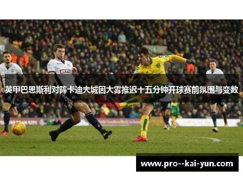 英甲巴恩斯利对阵卡迪夫城因大雾推迟十五分钟开球赛前氛围与变数 英甲巴恩斯利对阵卡迪夫城因大雾推迟十五分钟开球赛前氛围与变数
